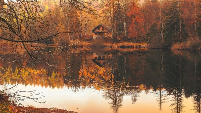 Rustic Cabin Retreat